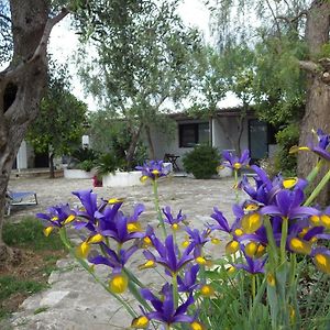 B&B Masseria Liberatore